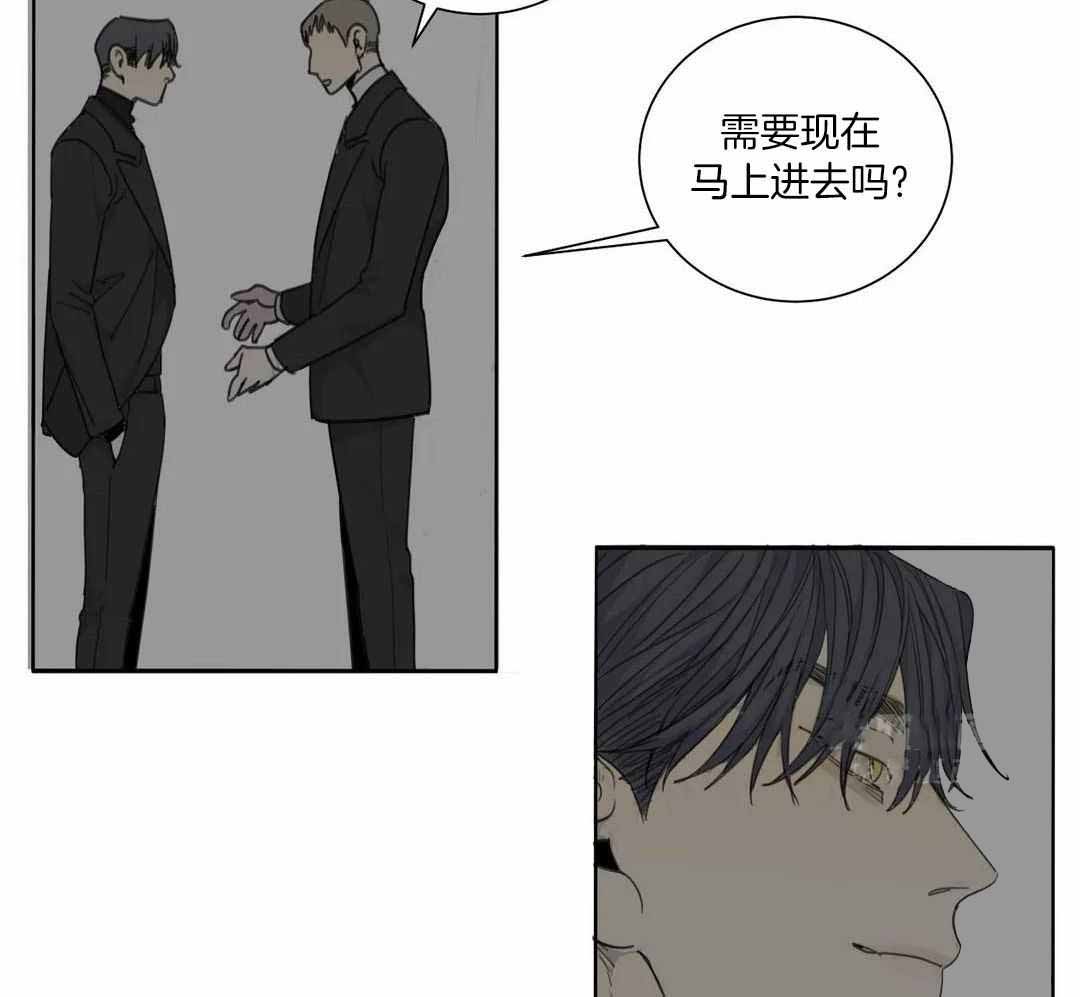 《狂犬(第二季更新)》漫画最新章节第65话免费下拉式在线观看章节第【15】张图片