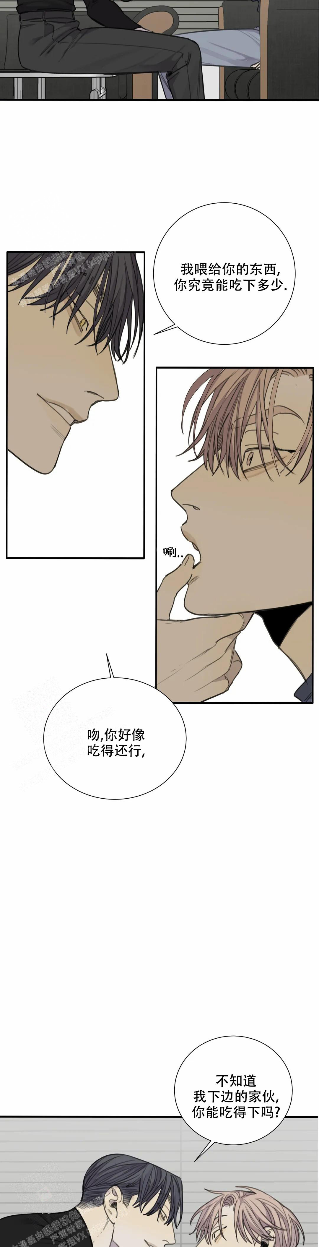 《狂犬(第二季更新)》漫画最新章节第71话免费下拉式在线观看章节第【5】张图片