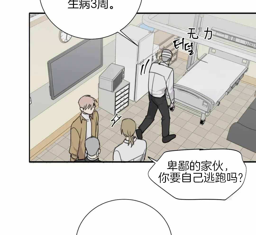 《狂犬(第二季更新)》漫画最新章节第67话免费下拉式在线观看章节第【39】张图片