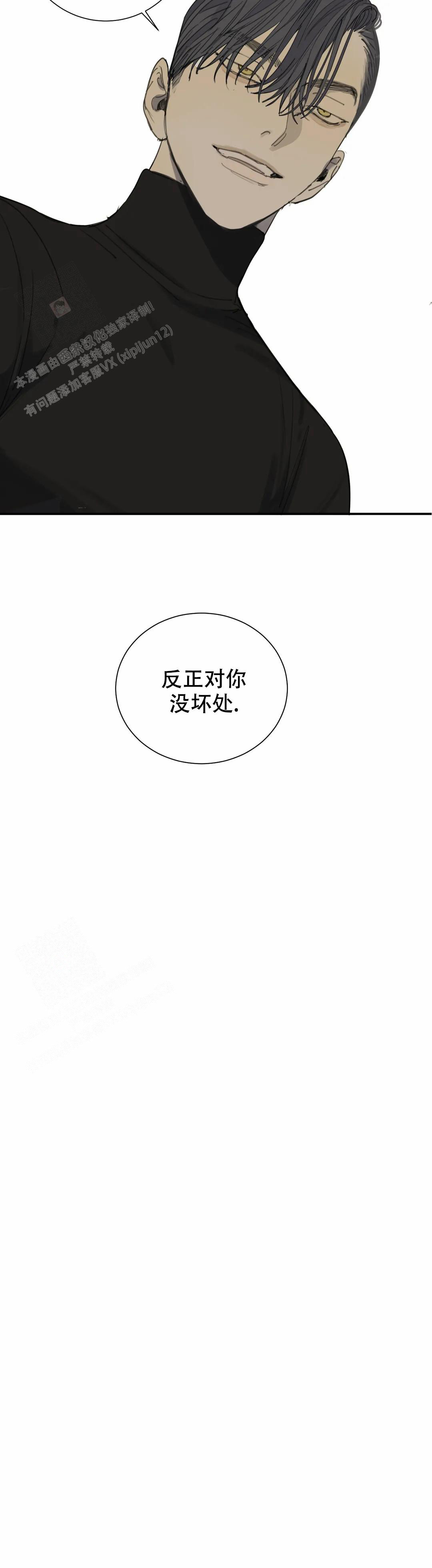 《狂犬(第二季更新)》漫画最新章节第70话免费下拉式在线观看章节第【13】张图片