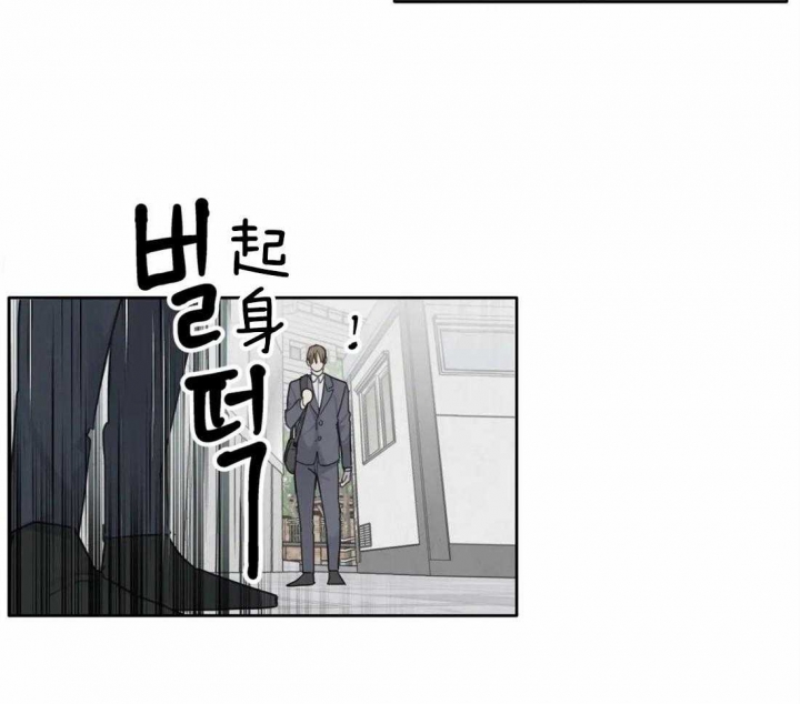 《狂犬(第二季更新)》漫画最新章节第48话免费下拉式在线观看章节第【6】张图片