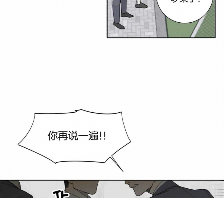 《狂犬(第二季更新)》漫画最新章节第47话免费下拉式在线观看章节第【33】张图片