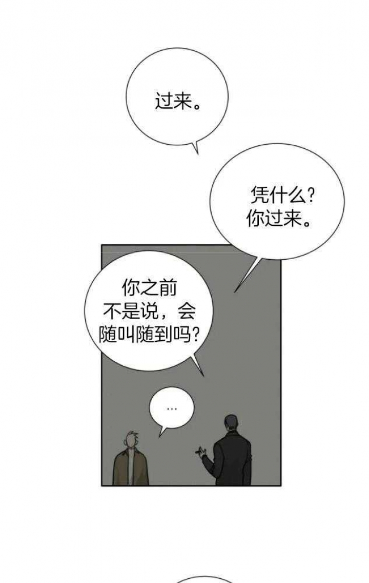 《狂犬(第二季更新)》漫画最新章节第55话免费下拉式在线观看章节第【1】张图片