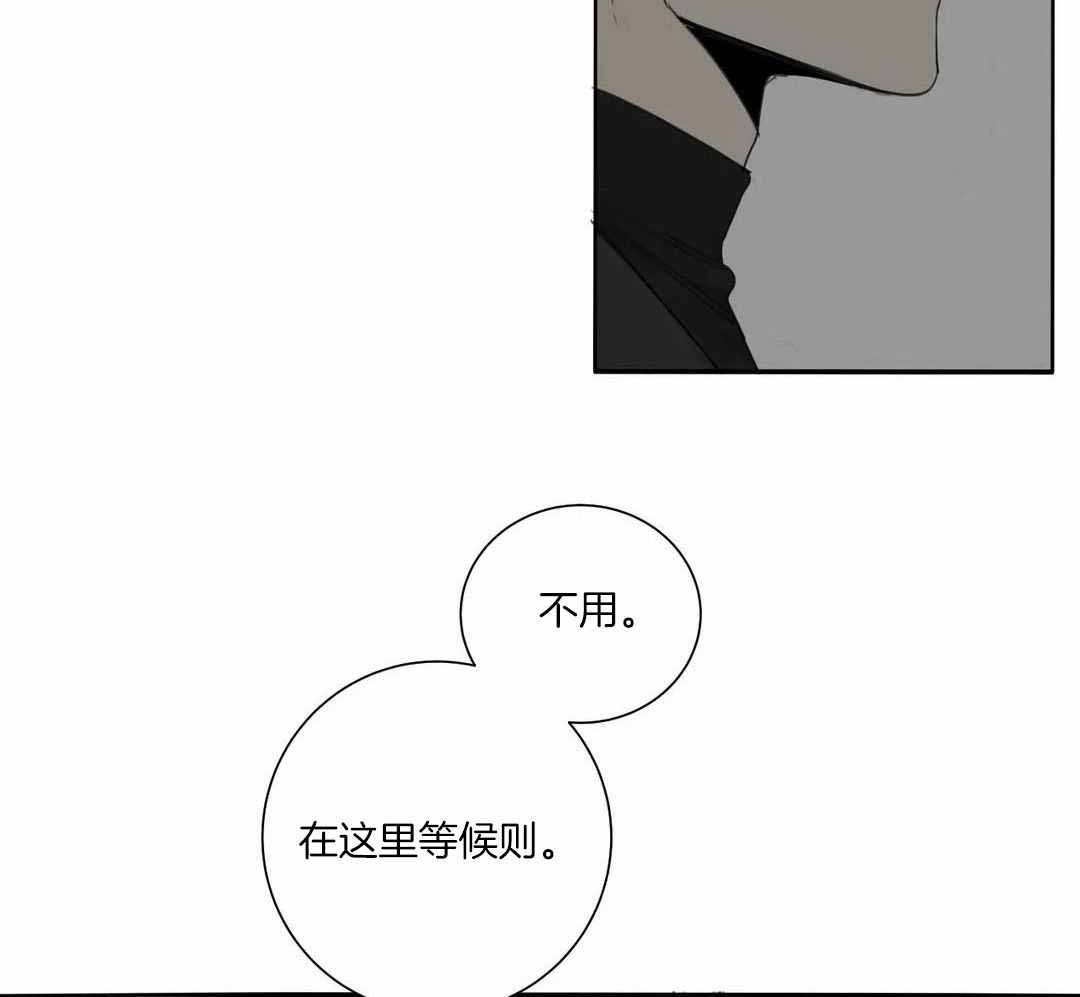 《狂犬(第二季更新)》漫画最新章节第65话免费下拉式在线观看章节第【16】张图片