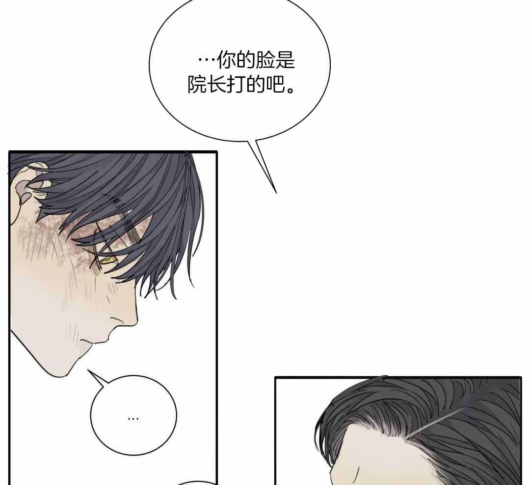 《狂犬(第二季更新)》漫画最新章节第64话免费下拉式在线观看章节第【29】张图片