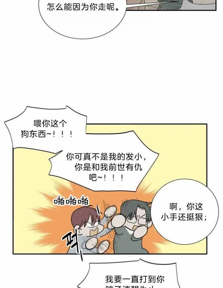 《狂犬(第二季更新)》漫画最新章节第51话免费下拉式在线观看章节第【5】张图片