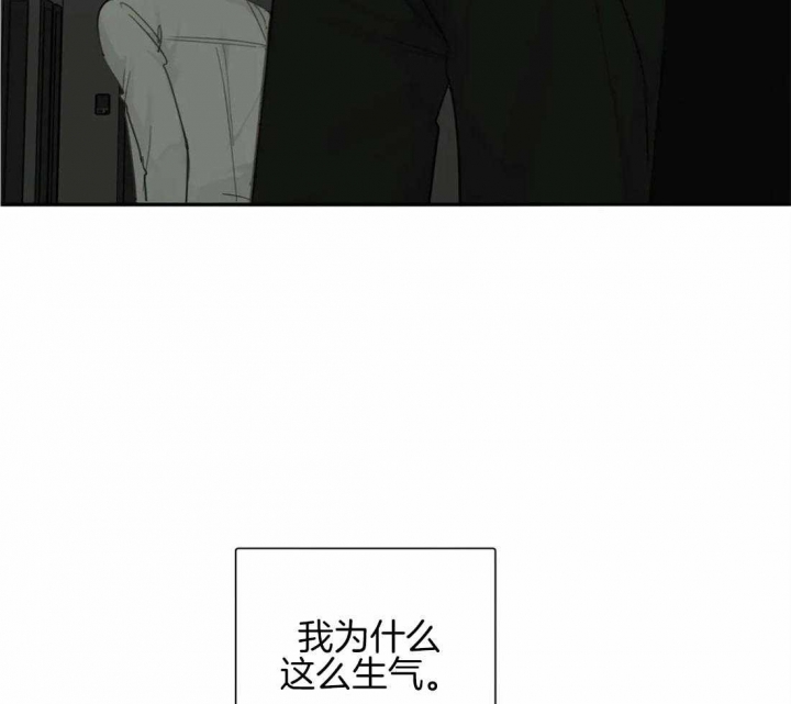 《狂犬(第二季更新)》漫画最新章节第46话免费下拉式在线观看章节第【39】张图片