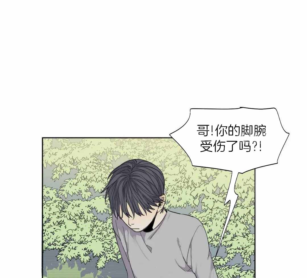 《狂犬(第二季更新)》漫画最新章节第59话免费下拉式在线观看章节第【21】张图片