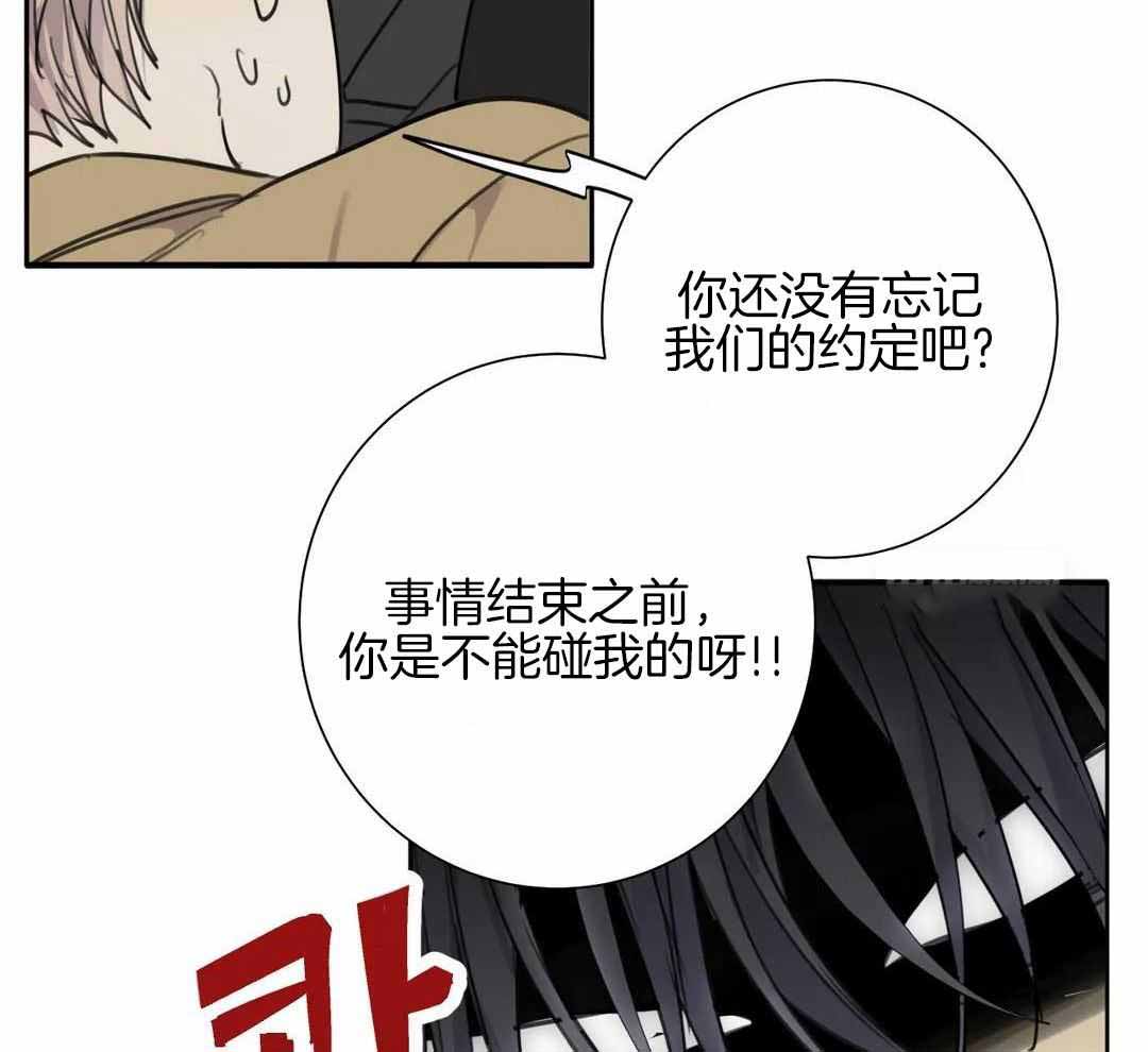 《狂犬(第二季更新)》漫画最新章节第66话免费下拉式在线观看章节第【15】张图片