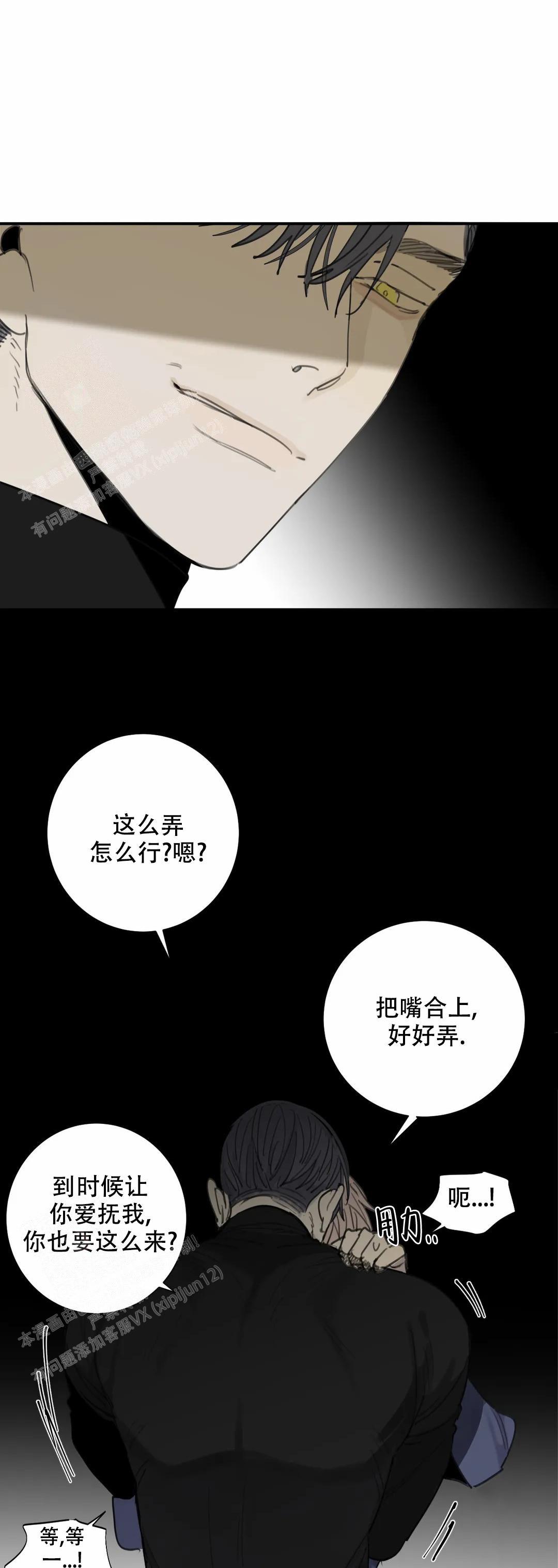 《狂犬(第二季更新)》漫画最新章节第71话免费下拉式在线观看章节第【10】张图片