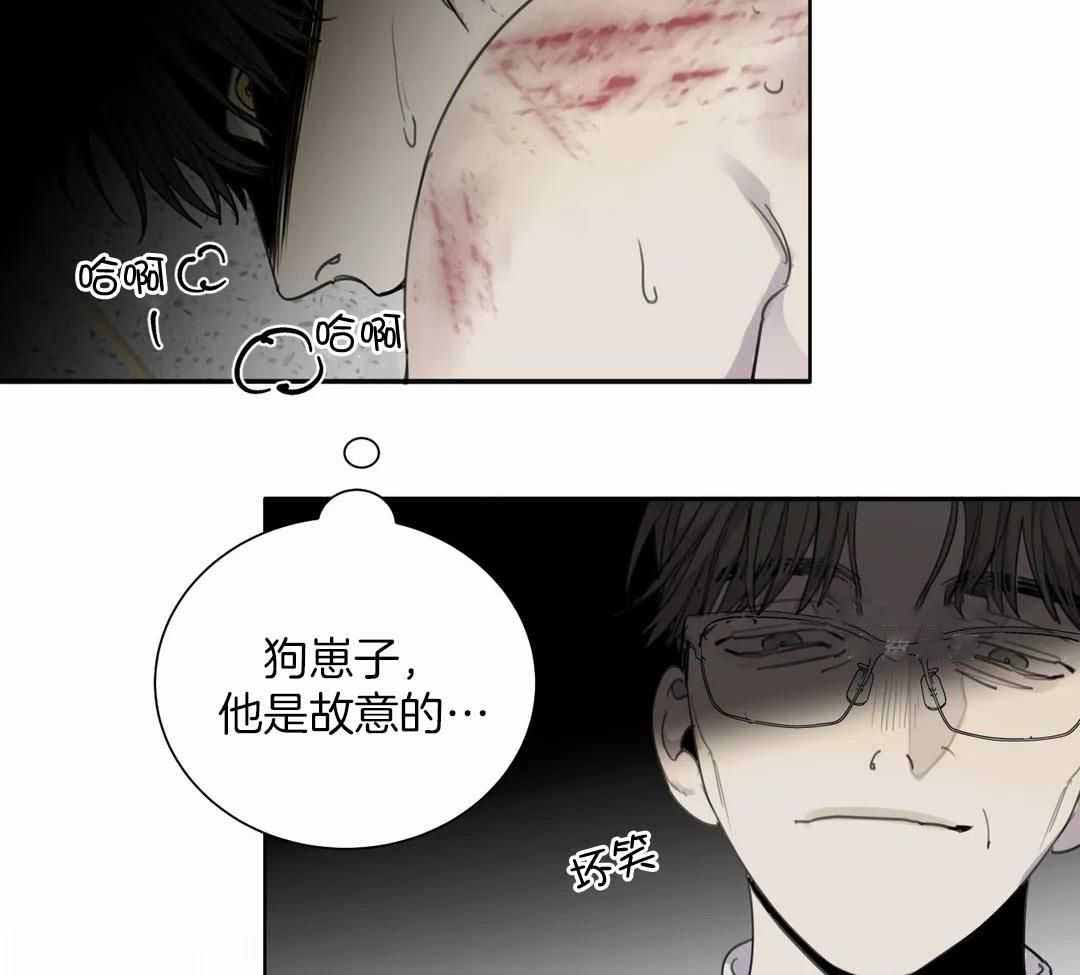 《狂犬(第二季更新)》漫画最新章节第59话免费下拉式在线观看章节第【9】张图片