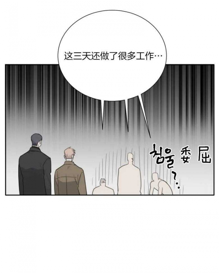 《狂犬(第二季更新)》漫画最新章节第54话免费下拉式在线观看章节第【17】张图片