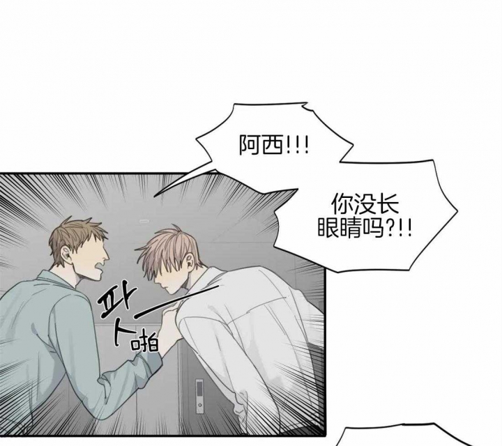 《狂犬(第二季更新)》漫画最新章节第45话免费下拉式在线观看章节第【6】张图片