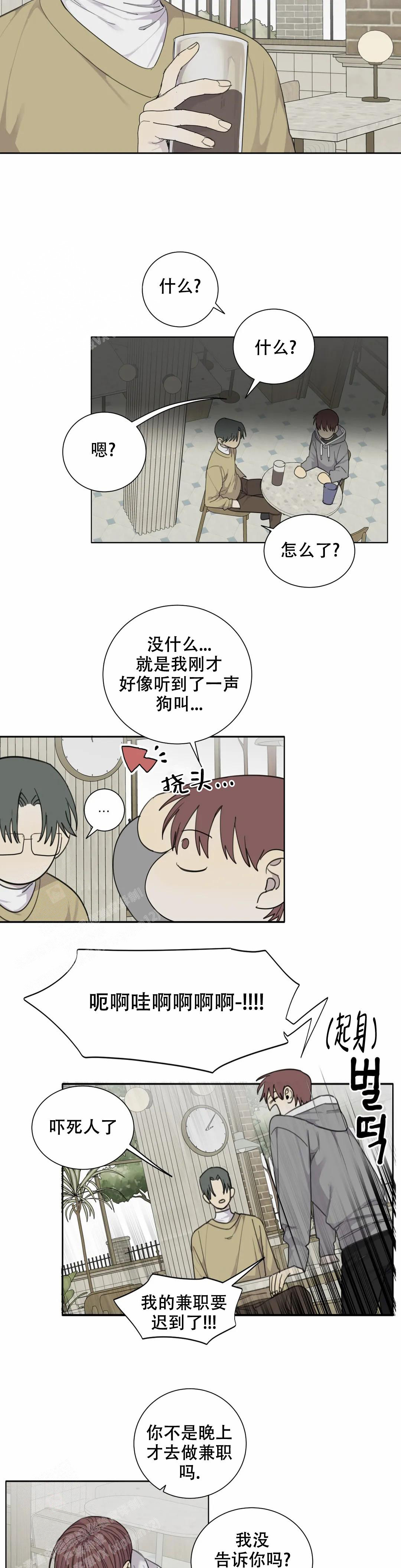 《狂犬(第二季更新)》漫画最新章节第68话免费下拉式在线观看章节第【7】张图片