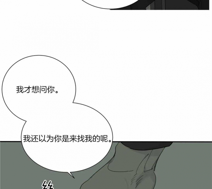 《狂犬(第二季更新)》漫画最新章节第43话免费下拉式在线观看章节第【7】张图片