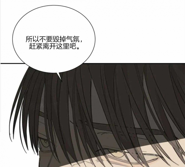 《狂犬(第二季更新)》漫画最新章节第44话免费下拉式在线观看章节第【31】张图片