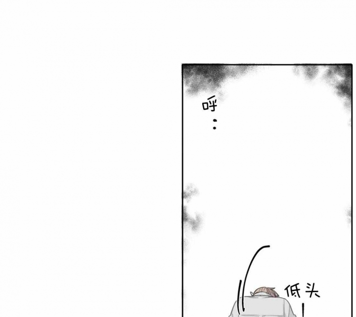 《狂犬(第二季更新)》漫画最新章节第45话免费下拉式在线观看章节第【14】张图片