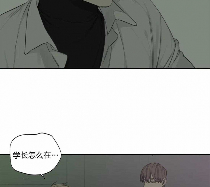 《狂犬(第二季更新)》漫画最新章节第43话免费下拉式在线观看章节第【2】张图片