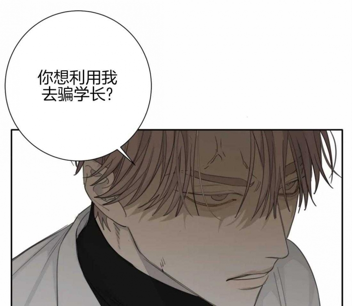 《狂犬(第二季更新)》漫画最新章节第46话免费下拉式在线观看章节第【10】张图片