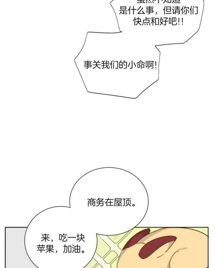 《狂犬(第二季更新)》漫画最新章节第54话免费下拉式在线观看章节第【19】张图片