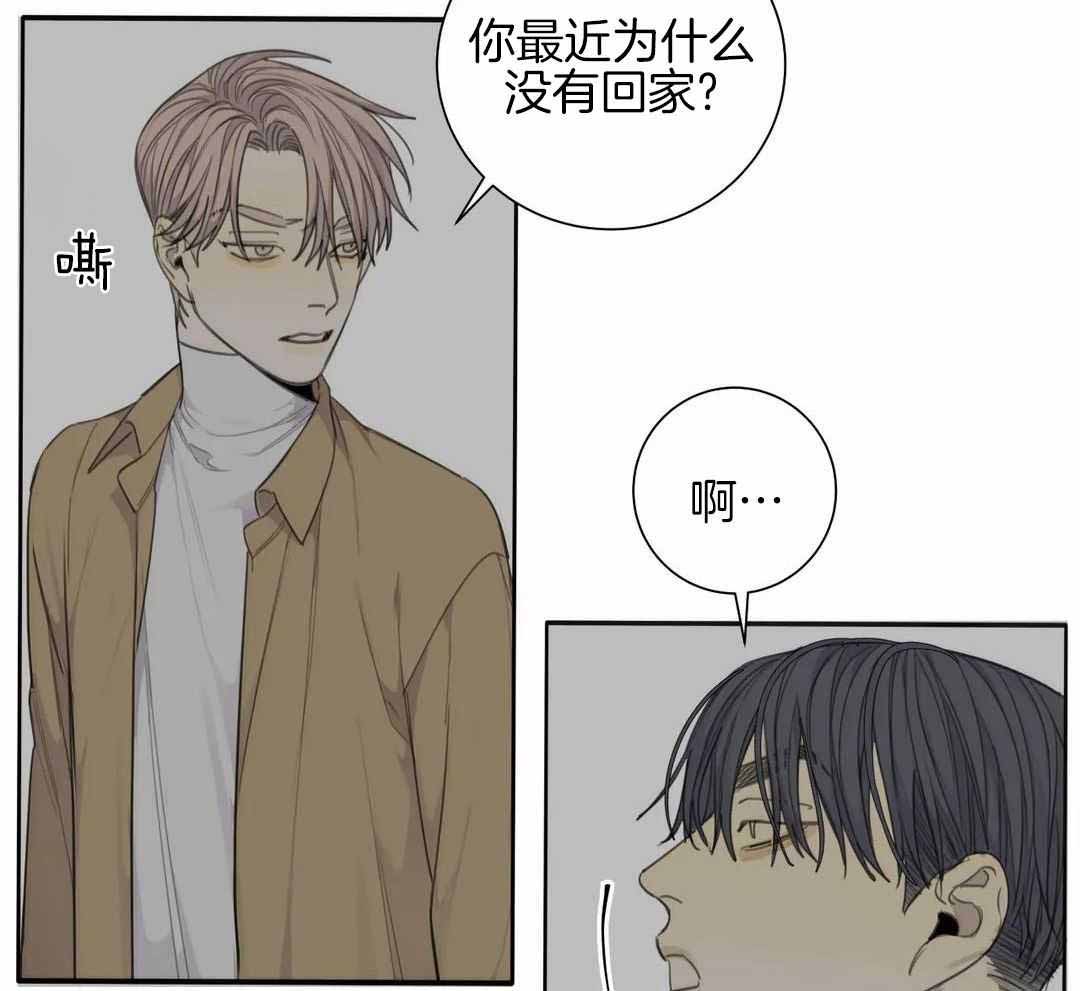 《狂犬(第二季更新)》漫画最新章节第67话免费下拉式在线观看章节第【19】张图片