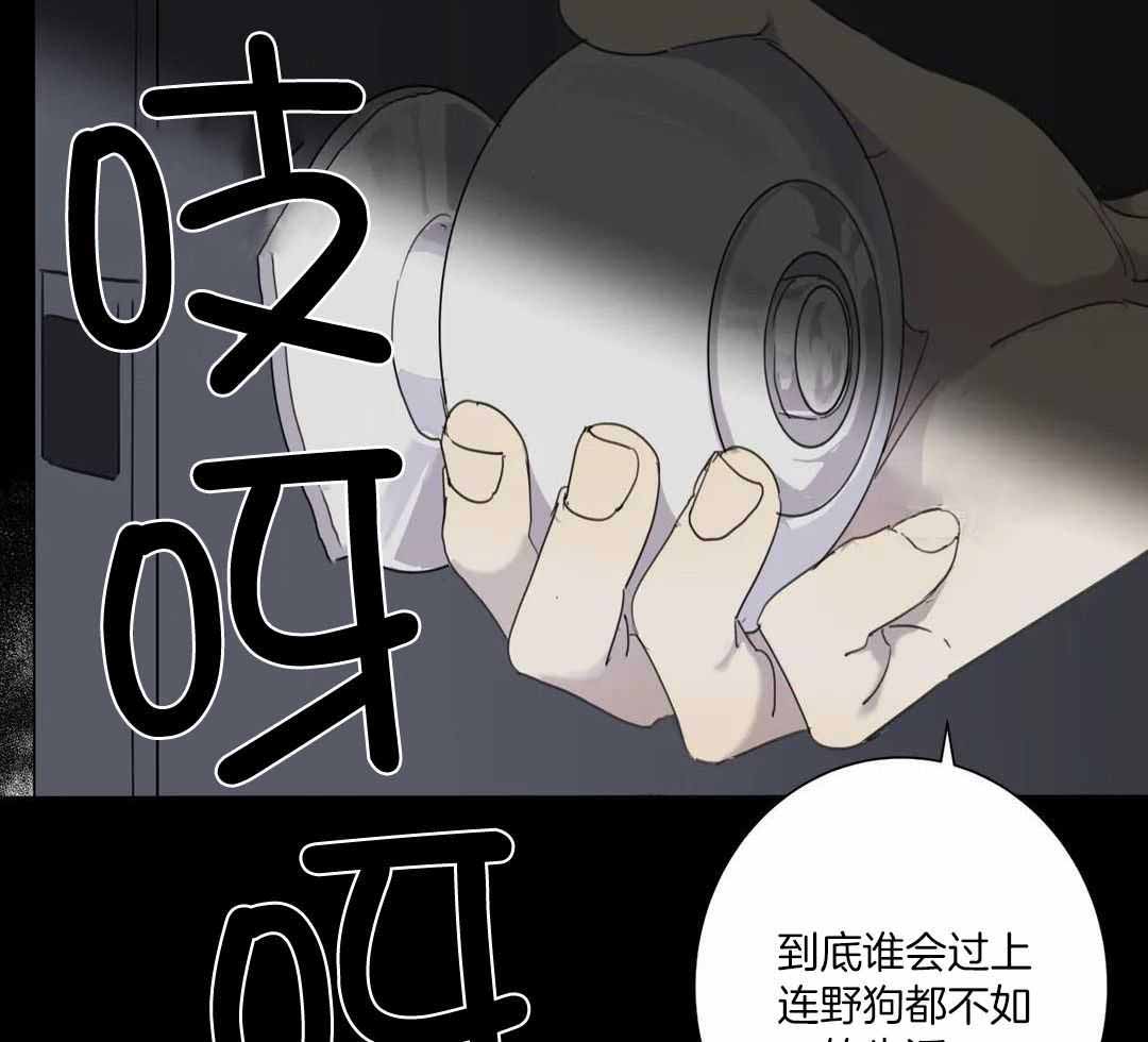 《狂犬(第二季更新)》漫画最新章节第62话免费下拉式在线观看章节第【40】张图片