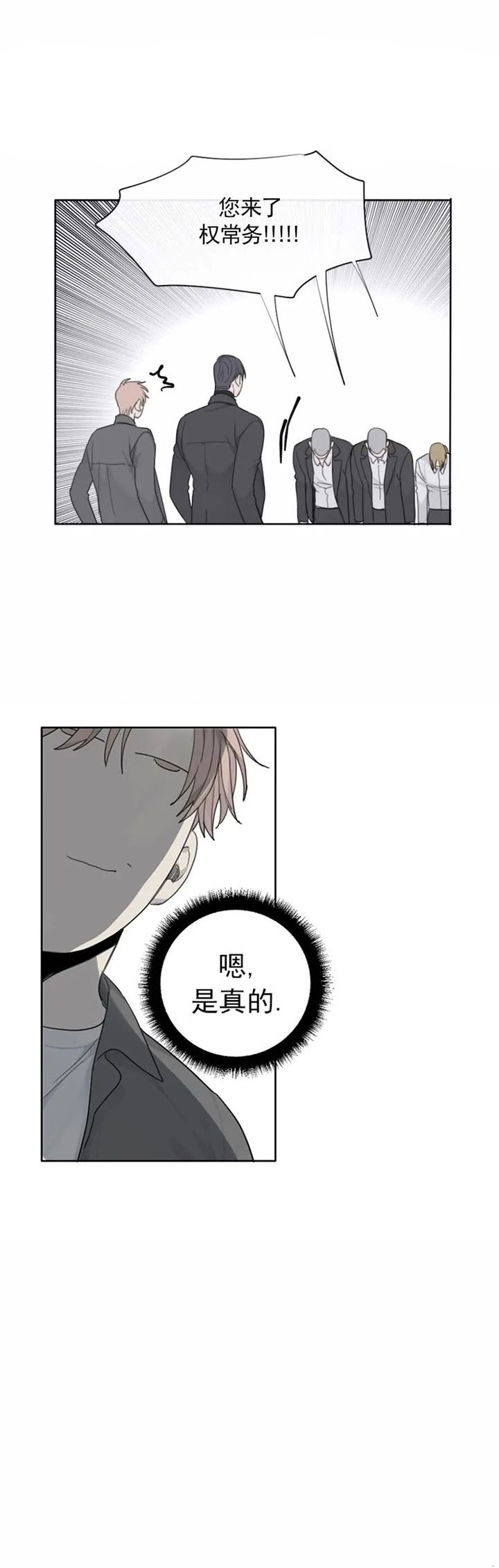 《狂犬(第二季更新)》漫画最新章节第35话免费下拉式在线观看章节第【9】张图片