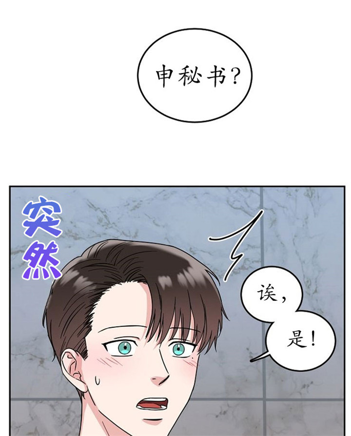 《总裁秘书不好当》漫画最新章节第14话免费下拉式在线观看章节第【18】张图片