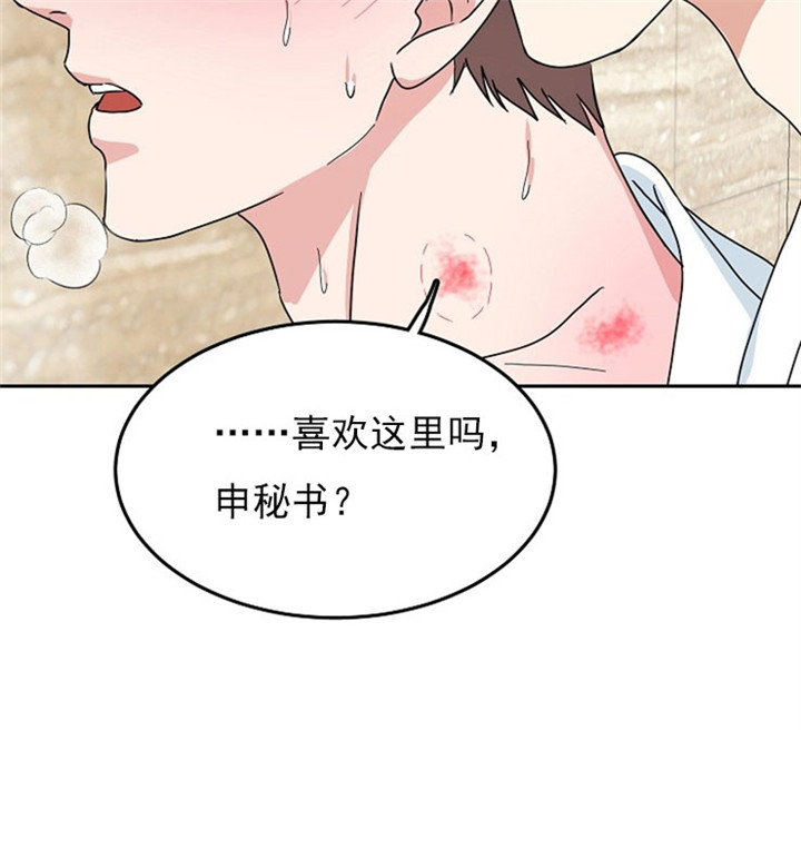 《总裁秘书不好当》漫画最新章节第17话免费下拉式在线观看章节第【14】张图片