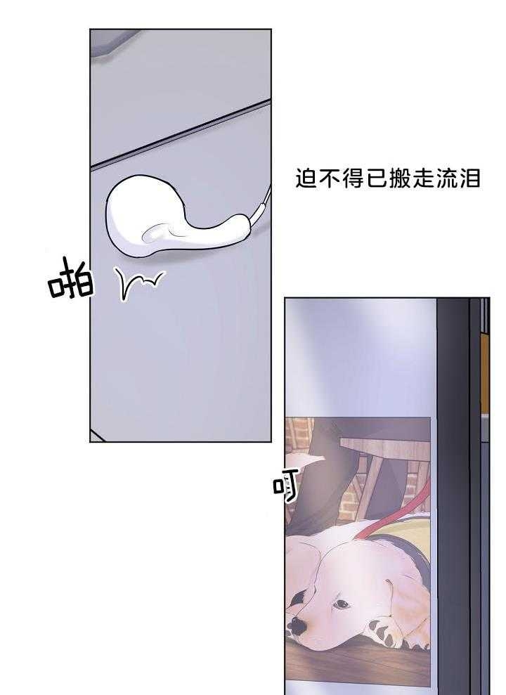 《失恋自救中》漫画最新章节第141话免费下拉式在线观看章节第【14】张图片