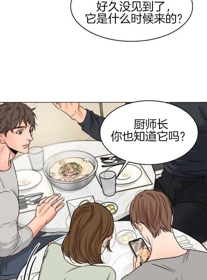 《失恋自救中》漫画最新章节第139话免费下拉式在线观看章节第【29】张图片