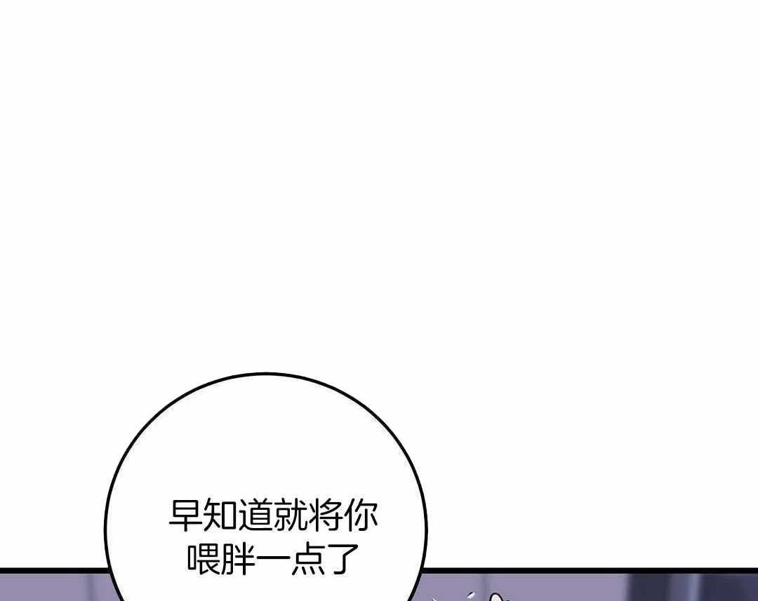 《来自深渊(第一季完结)》漫画最新章节第87话免费下拉式在线观看章节第【5】张图片