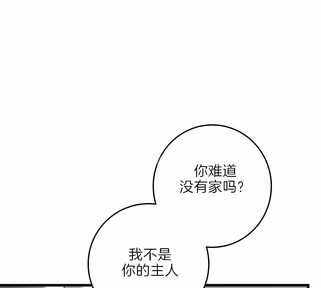 《来自深渊(第一季完结)》漫画最新章节第63话免费下拉式在线观看章节第【1】张图片