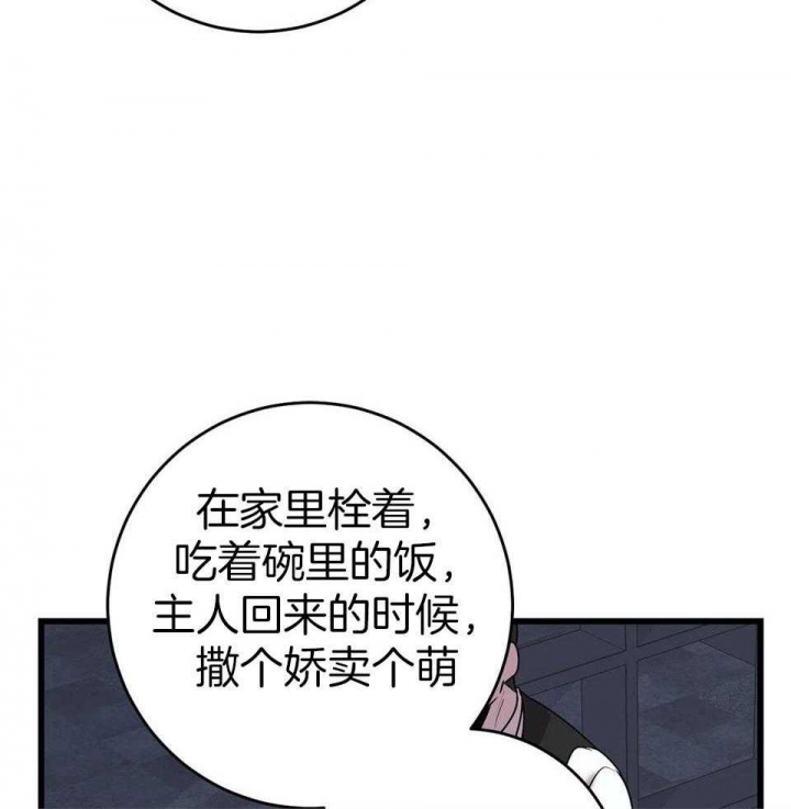 《来自深渊(第一季完结)》漫画最新章节第20话免费下拉式在线观看章节第【55】张图片