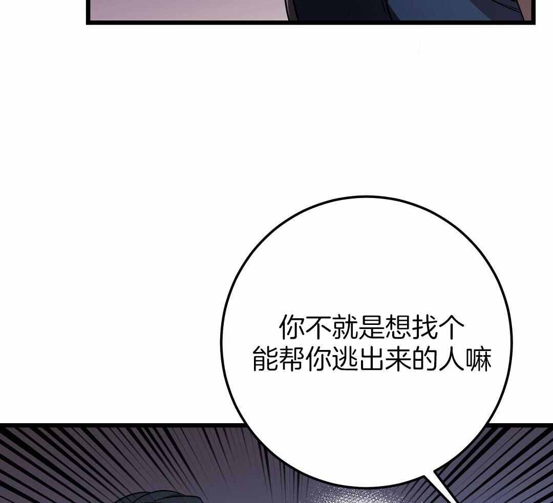 《来自深渊(第一季完结)》漫画最新章节第70话免费下拉式在线观看章节第【65】张图片