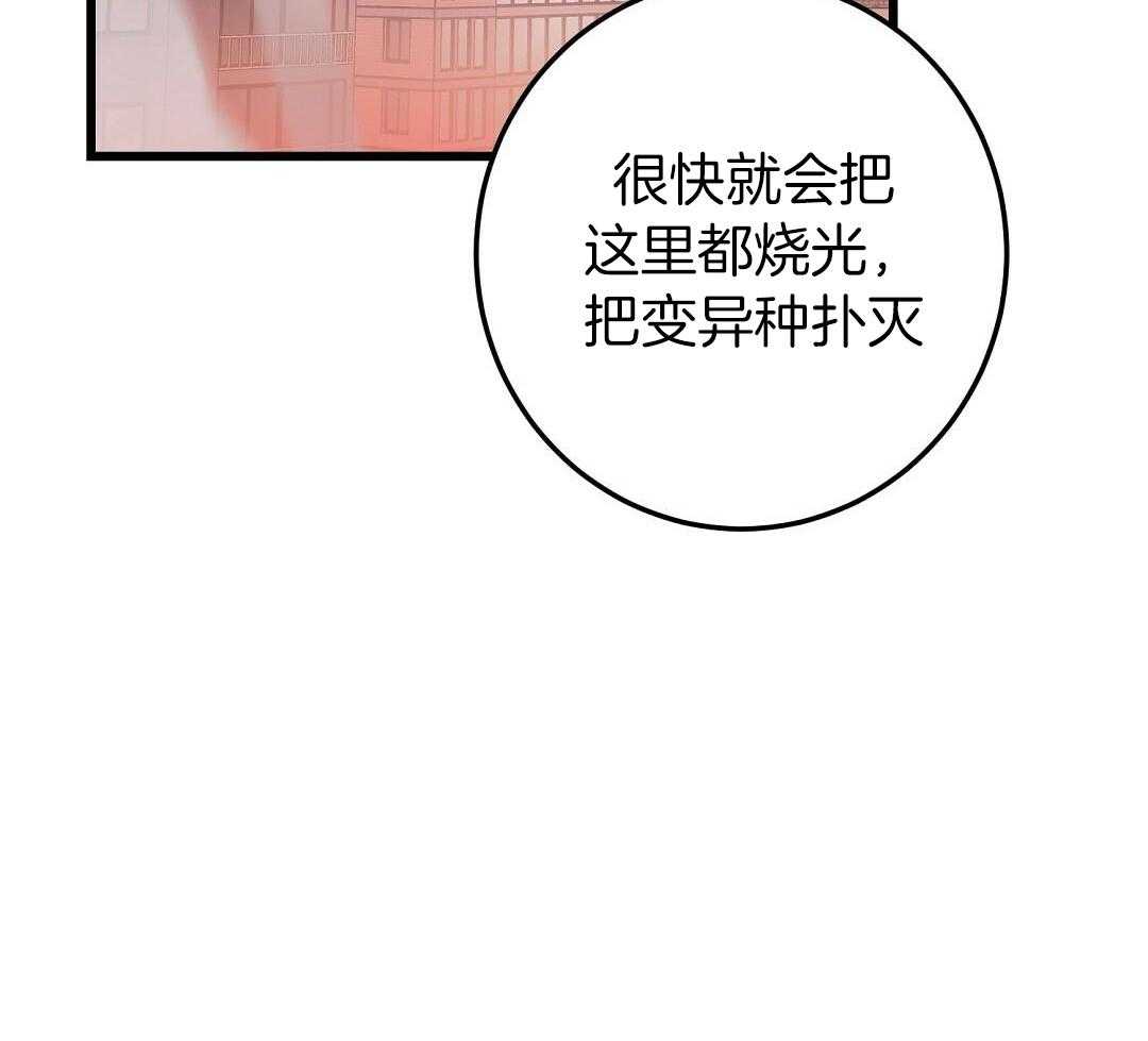 《来自深渊(第一季完结)》漫画最新章节第54话免费下拉式在线观看章节第【37】张图片