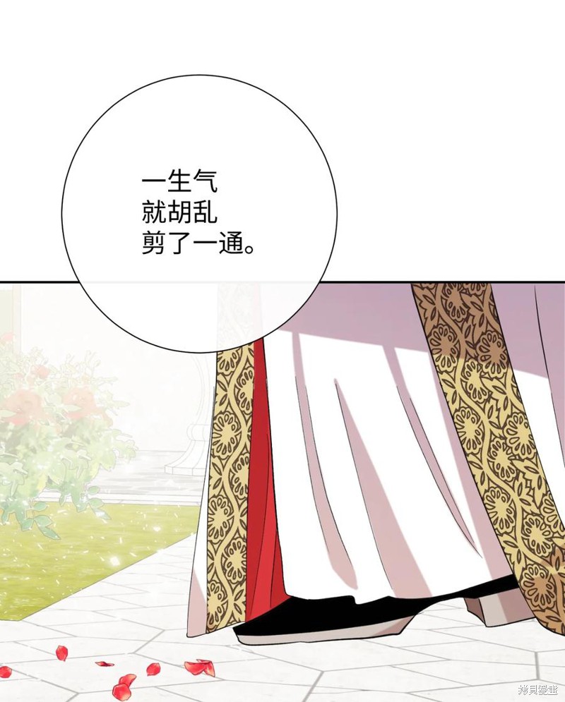 《请不要吃掉我》漫画最新章节第29话免费下拉式在线观看章节第【11】张图片