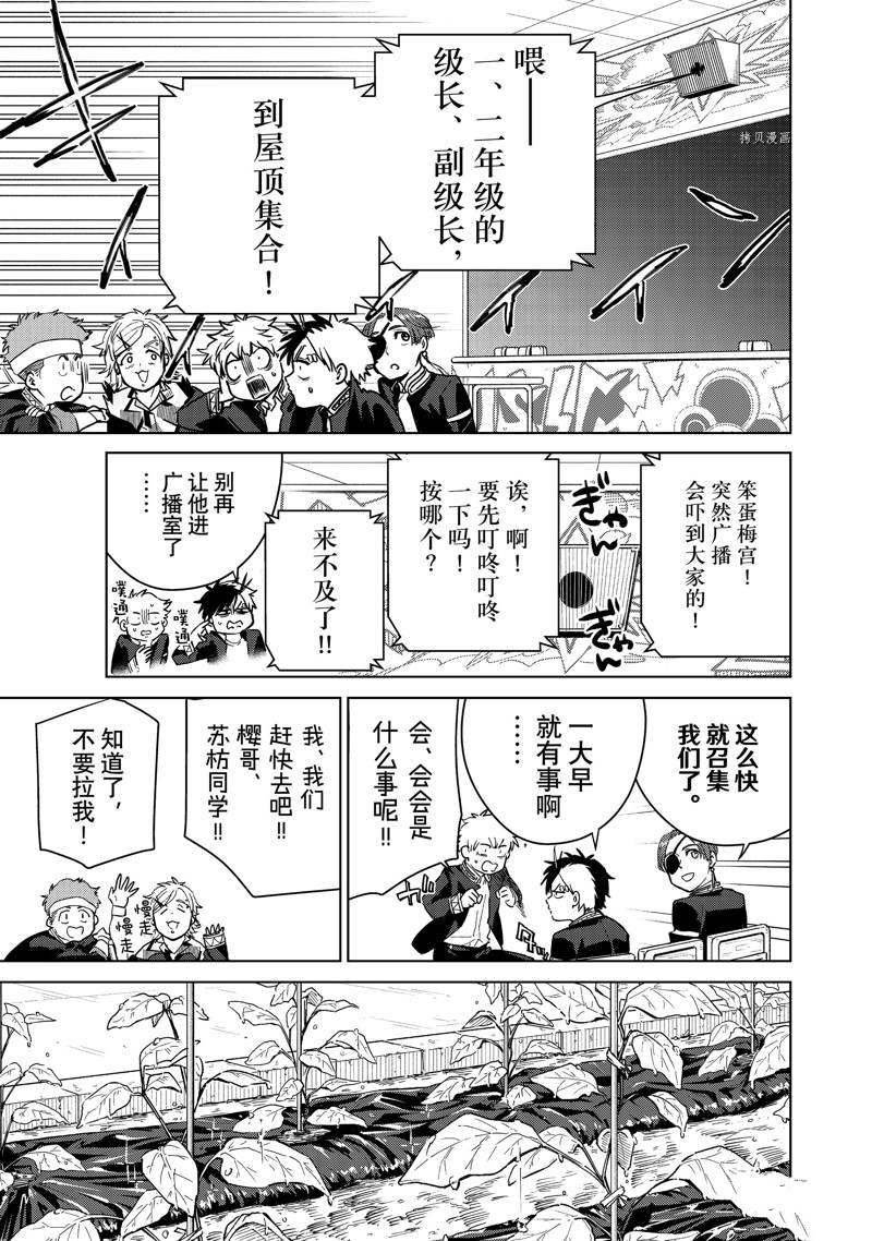 《WIND BREAKER》漫画最新章节第37话 试看版免费下拉式在线观看章节第【11】张图片