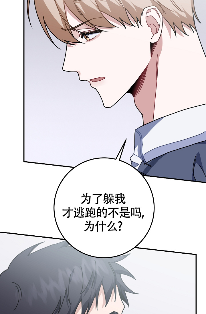 《恋爱至上主义区域》漫画最新章节第11话免费下拉式在线观看章节第【5】张图片