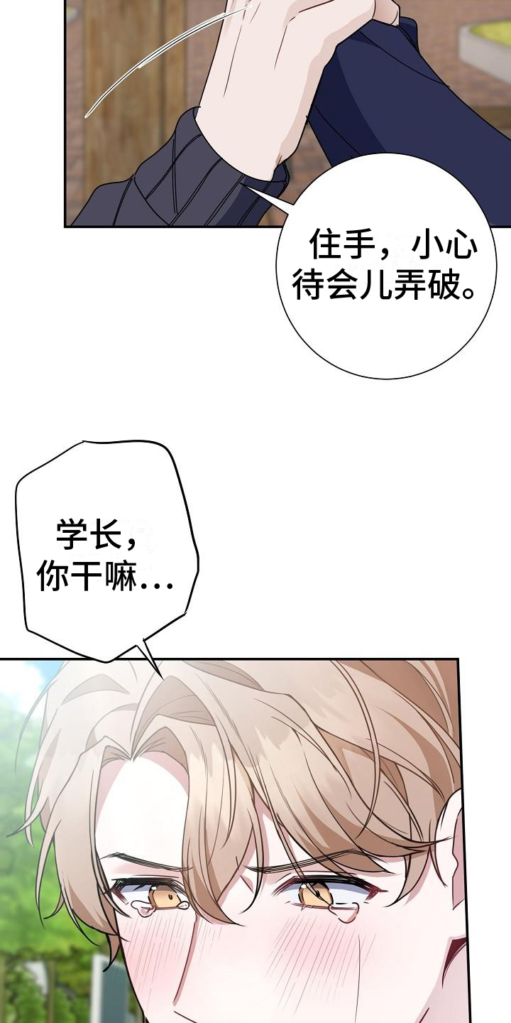 《恋爱至上主义区域》漫画最新章节第1话免费下拉式在线观看章节第【5】张图片