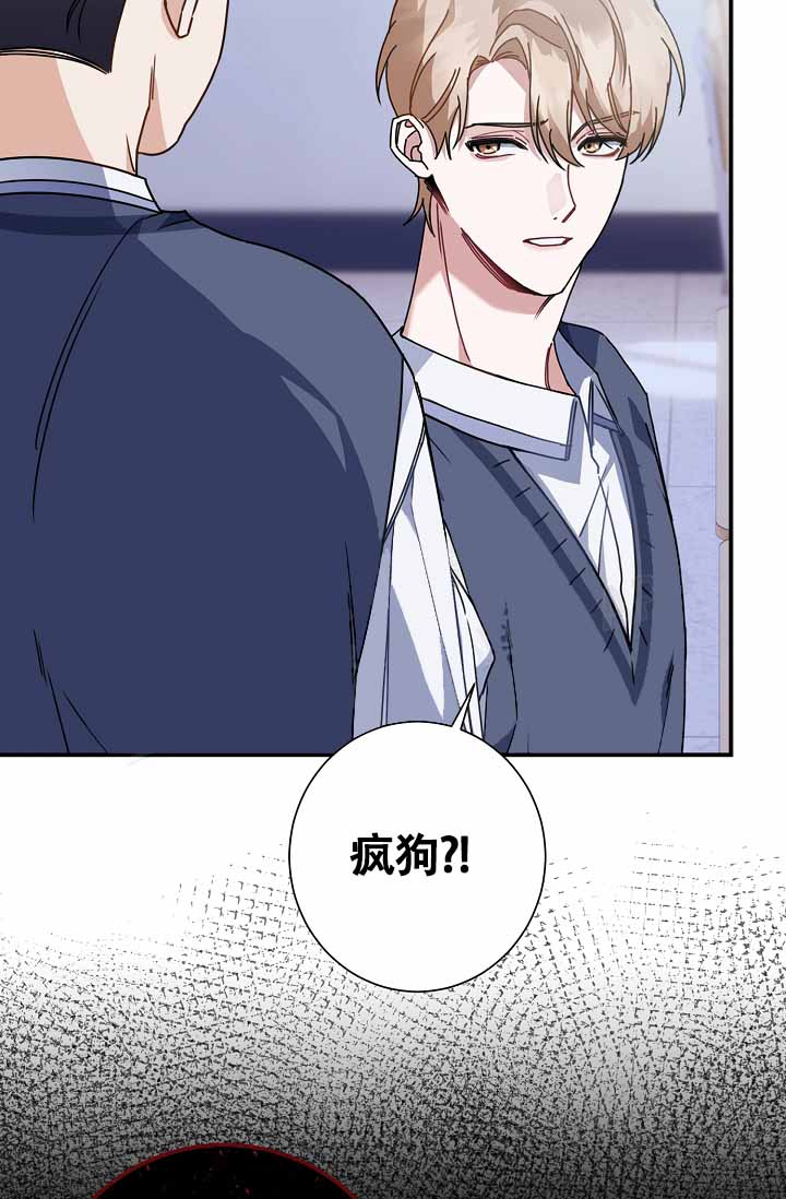 《恋爱至上主义区域》漫画最新章节第9话免费下拉式在线观看章节第【19】张图片