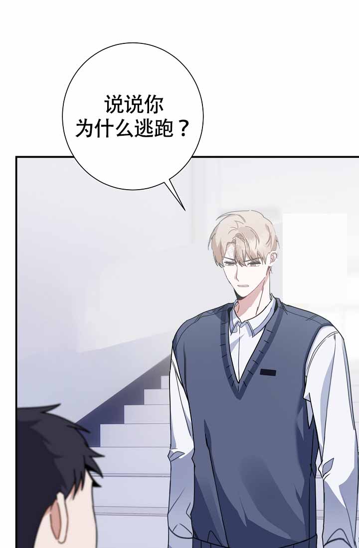 《恋爱至上主义区域》漫画最新章节第11话免费下拉式在线观看章节第【1】张图片