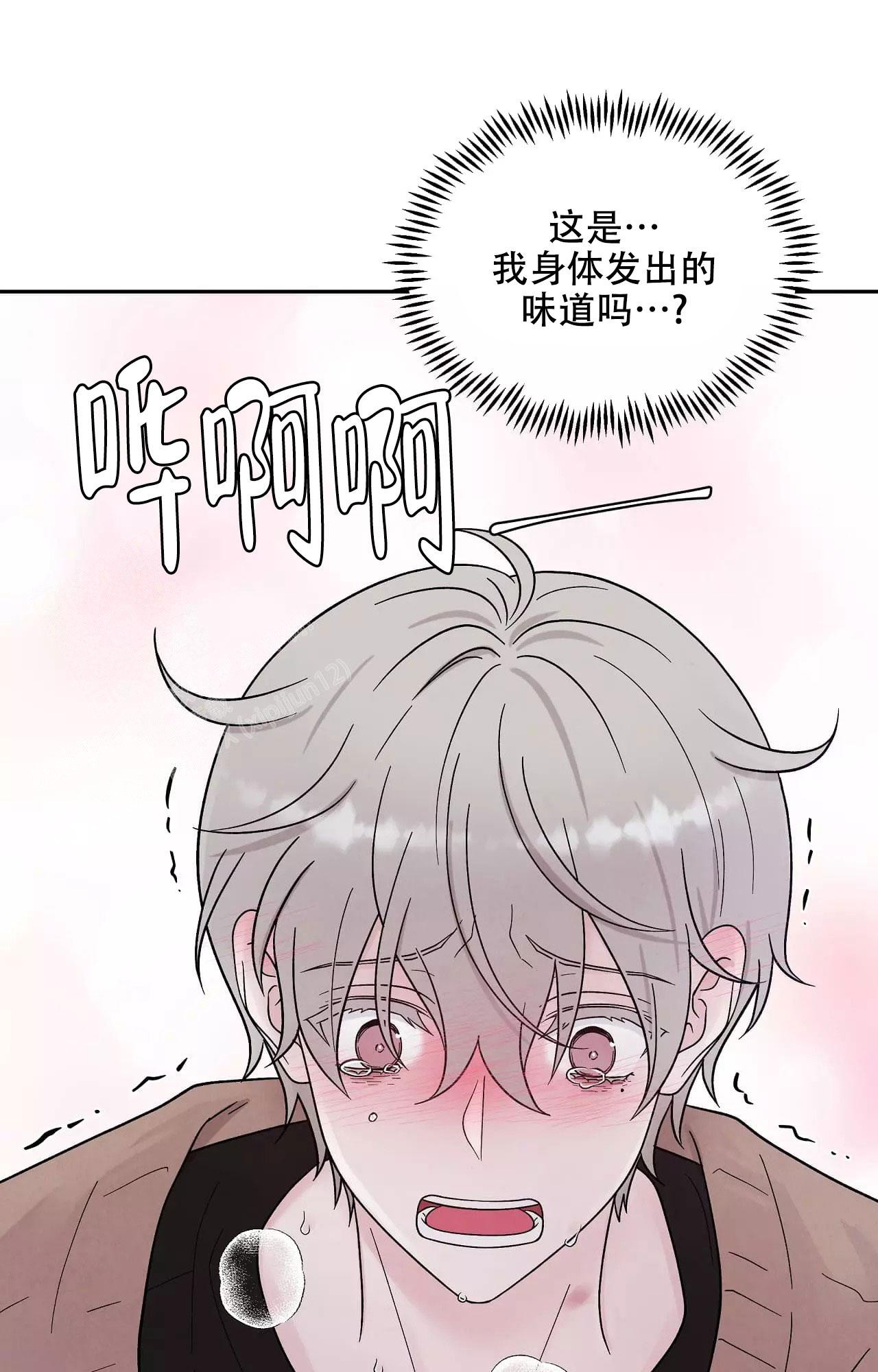 《命中注定的他》漫画最新章节第15话免费下拉式在线观看章节第【1】张图片