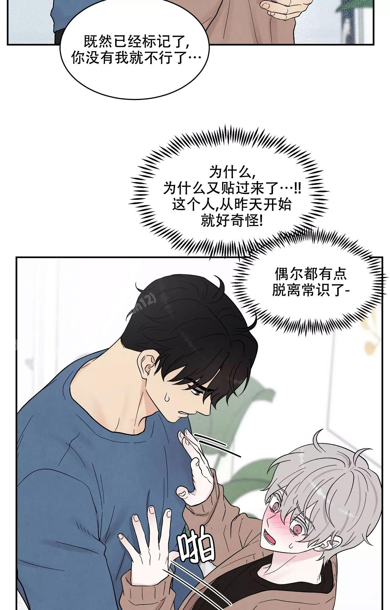 《命中注定的他》漫画最新章节第19话免费下拉式在线观看章节第【18】张图片