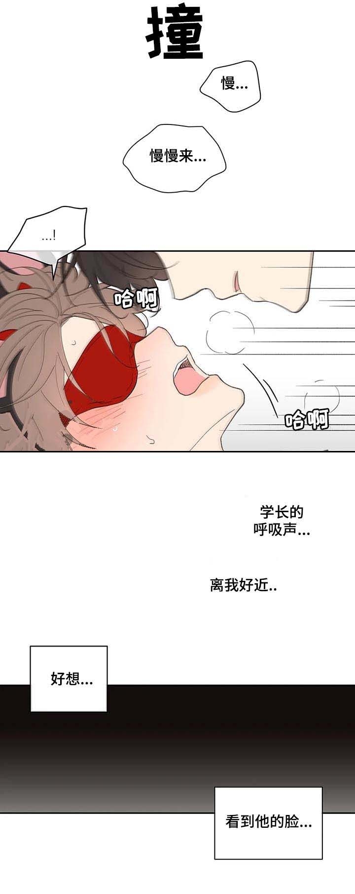 《主人的私情》漫画最新章节第67话免费下拉式在线观看章节第【6】张图片