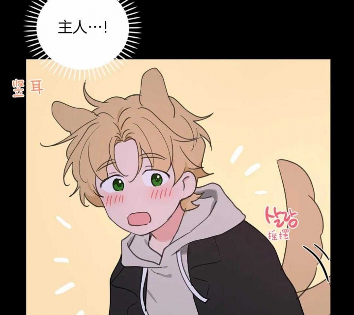 《主人的私情》漫画最新章节第105话免费下拉式在线观看章节第【24】张图片