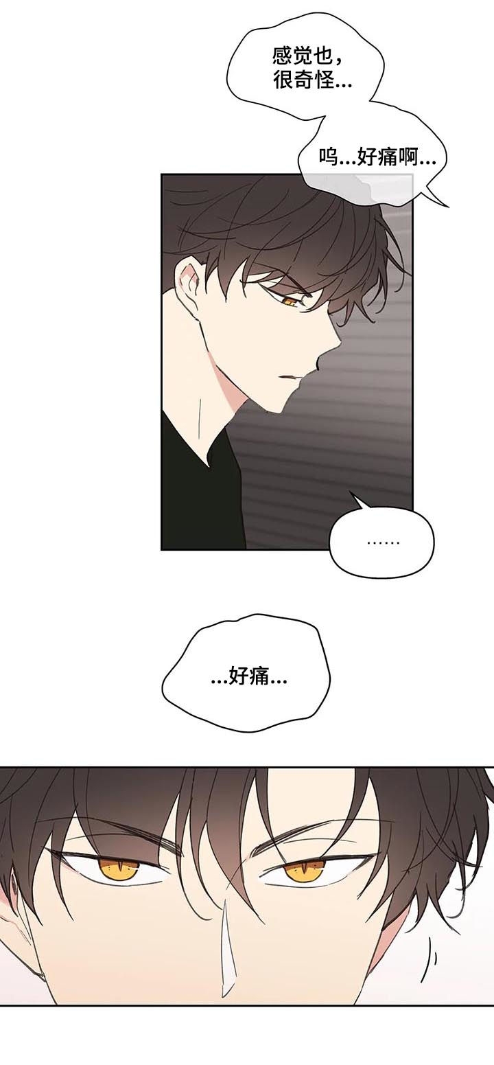 《主人的私情》漫画最新章节第66话免费下拉式在线观看章节第【13】张图片