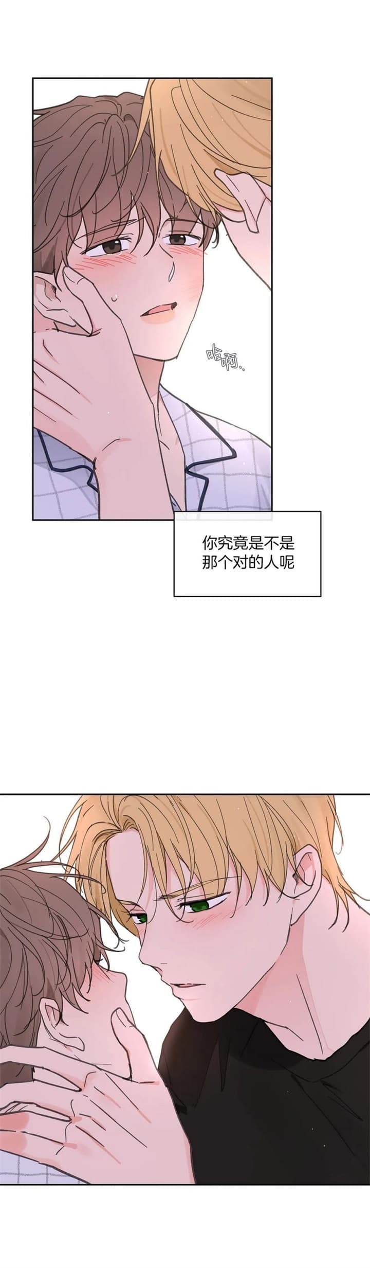 《主人的私情》漫画最新章节第137话免费下拉式在线观看章节第【4】张图片