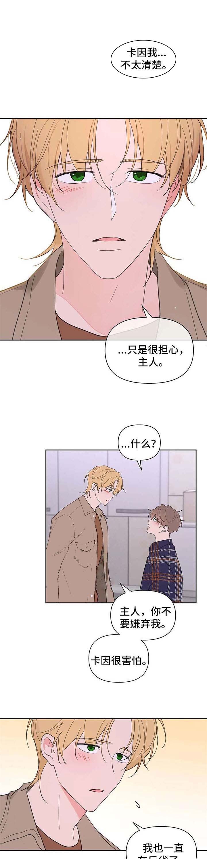 《主人的私情》漫画最新章节第95话免费下拉式在线观看章节第【5】张图片