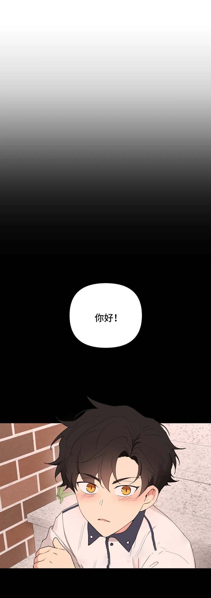 《主人的私情》漫画最新章节第78话免费下拉式在线观看章节第【10】张图片